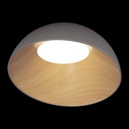 Потолочный светодиодный светильник Loft IT Egg 10197/500 Grey  - 4 купить